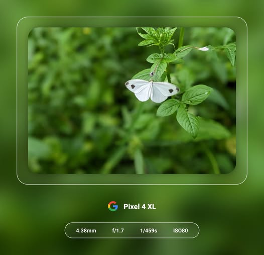 Facebook preview image 1