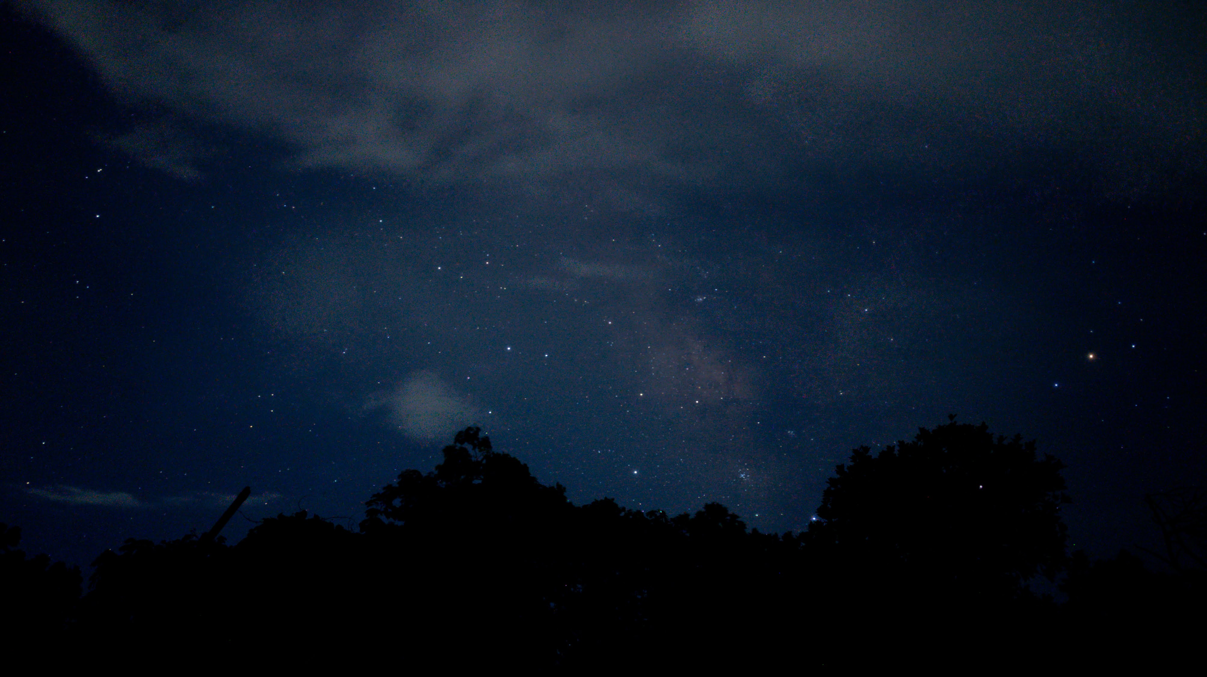 Milky Way galaxy and starry night sky with tree silhouettes by miqdad23.